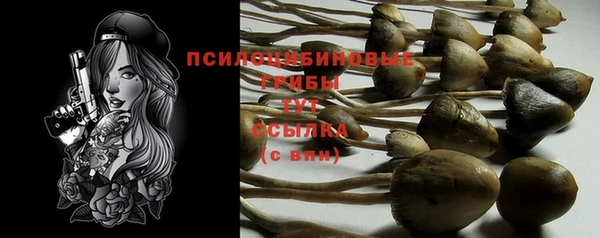 соль курить ск Зеленокумск
