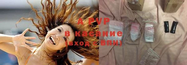 стаф Заводоуковск