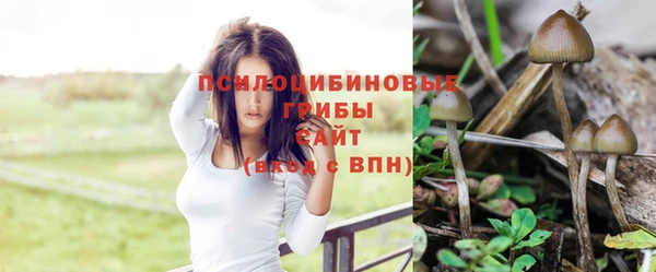 соль курить ск Зеленокумск