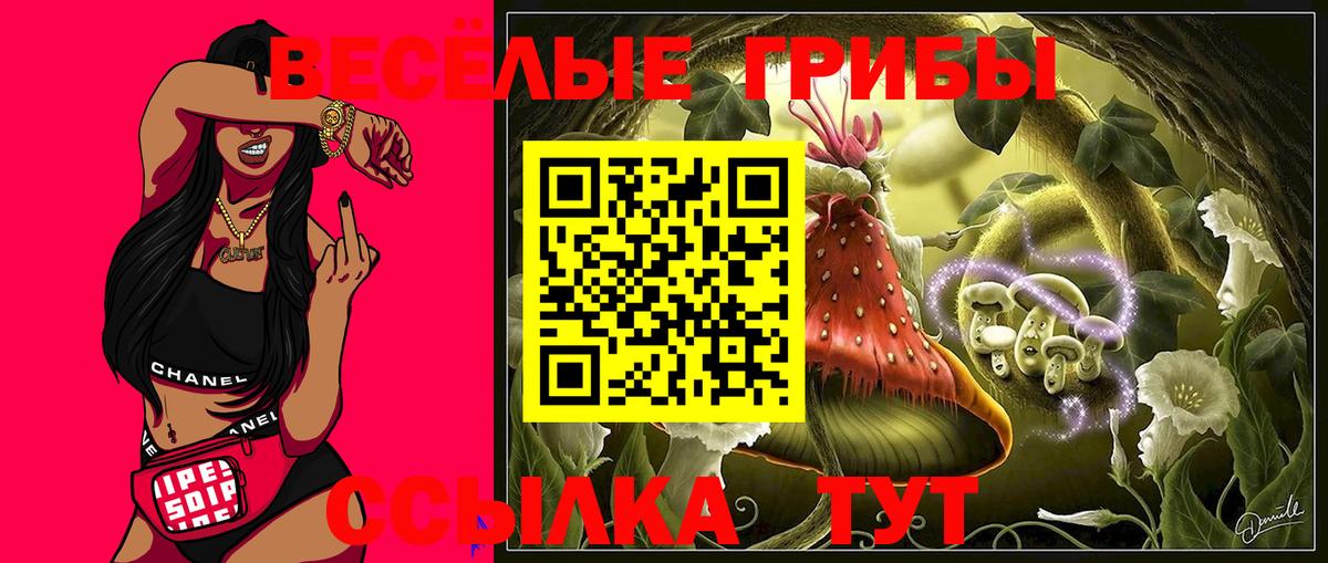 Сокол  Псилоцибиновые грибы мицелий  Галлюциногенные грибы Cubensis  Вход с VPN 