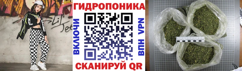 Конопля план  Сокол 